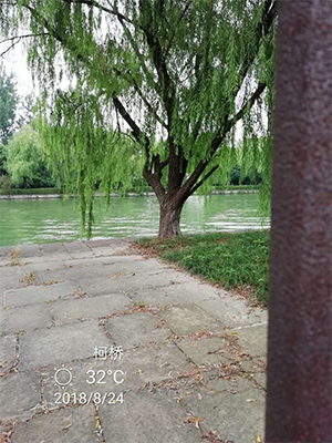 图片16.png