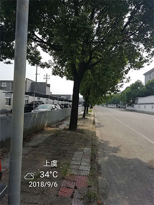 图片28x.jpg