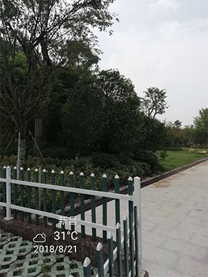 图片95x.jpg