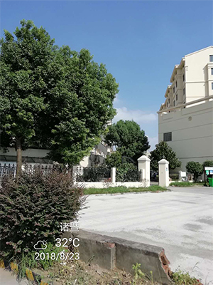 图片135x.jpg