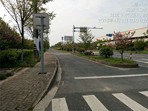 图片31x.jpg