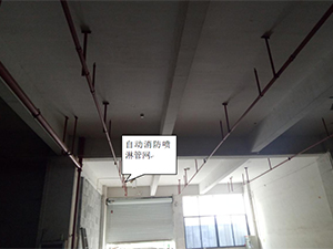 图片17x.jpg