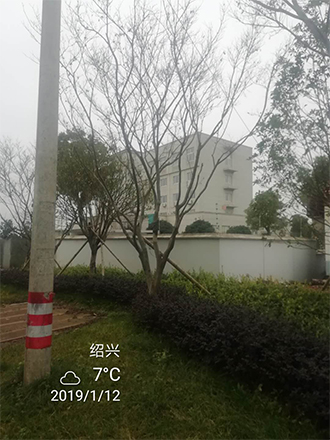 图片9x.jpg