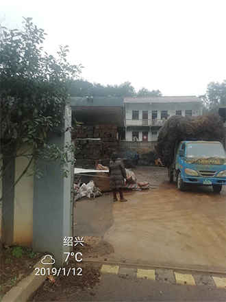 图片16x.jpg