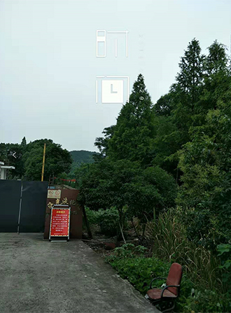 图片31x.jpg