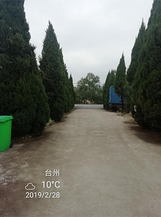 图片37x.jpg