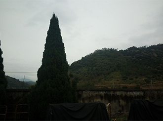 图片38x.jpg