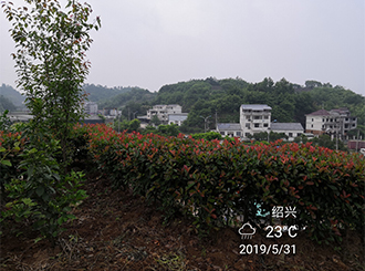 图片78x.jpg