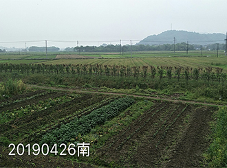 图片115x.jpg