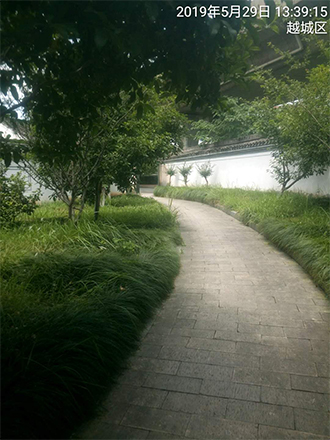 图片145x.jpg
