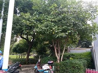图片158x.jpg