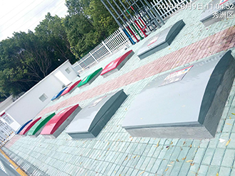 图片10x.jpg