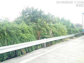 图片12x.jpg