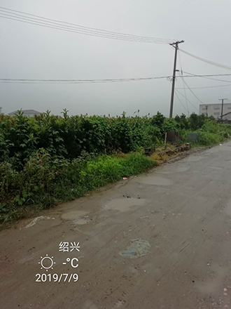 图片86x.jpg