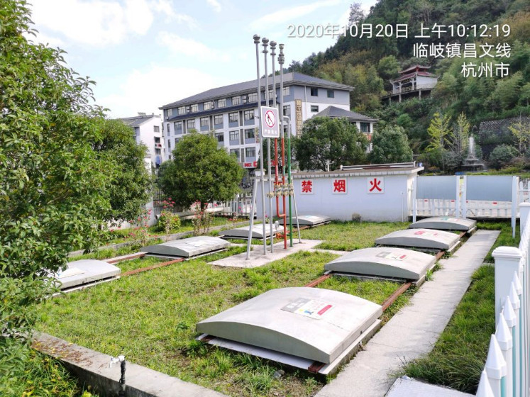 GZ【X】杭2020-019中国石化销售股份有限公司浙江杭州临岐加油站安全现状评价 网上公开信息表965.jpg
