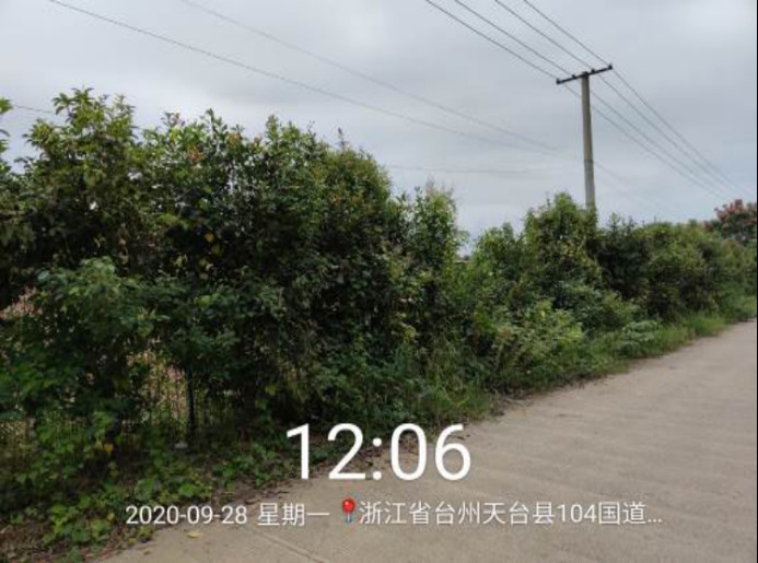 GZ【X】台2020-066浙江天成自控有限公司危险化学品使用安全现状评价报告网上公开1138.jpg