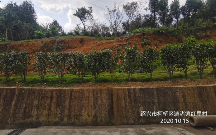 GZ【X】柯2020-024绍兴柯桥亮剑机械有限公司高温熔融作业专项安全现状评价网上信息公开表1056.jpg