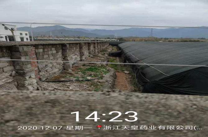GZ【X】台2020-088浙江天皇药业有限公司危险化学品储存、使用安全现状评价报告网上公开信息表1282.jpg