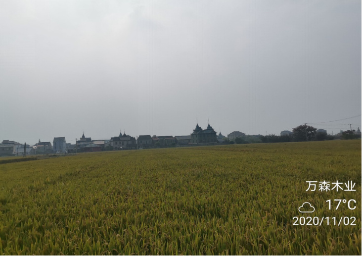 GZ【X】虞2020-043浙江万森装饰材料有限公司危险化学品使用（油漆）安全现状评价报告网上公开信息表1117.jpg