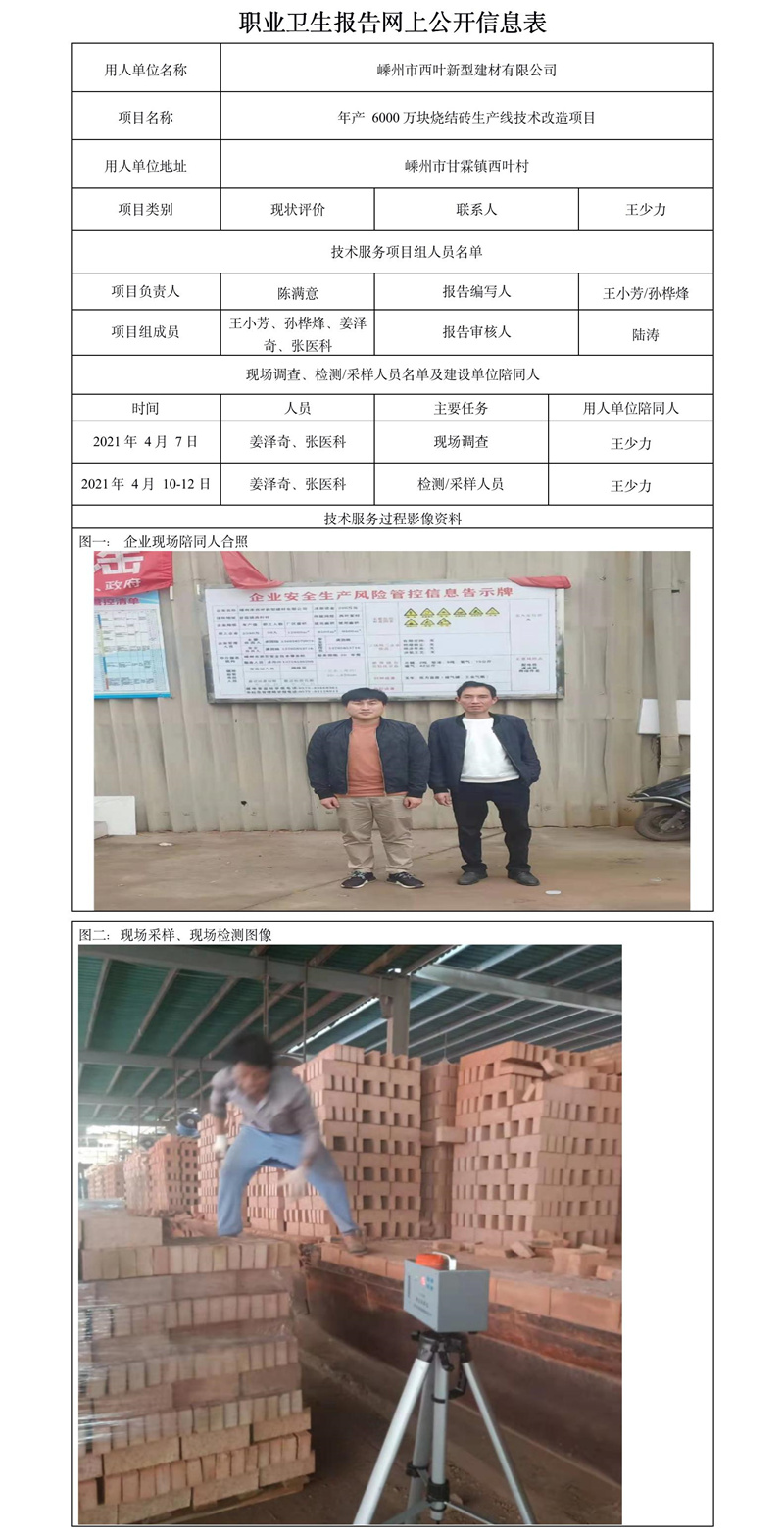 嵊州西叶新型建材有限公司职业卫生报告网上公开信息表.jpg