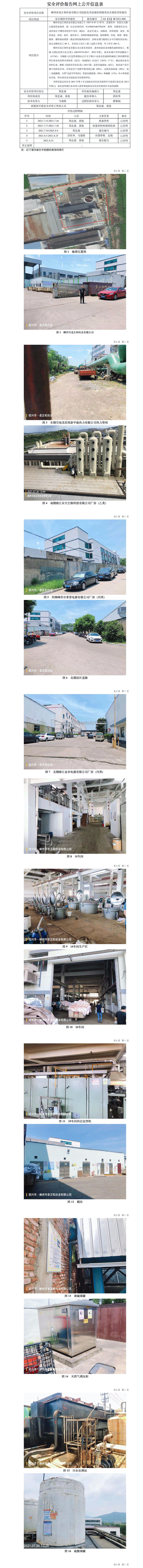 GZ【X】嵊2021-008嵊州市老正和丝业有限公司危险化学品储存和使用安全现状评价报告网上信息公开表.jpg