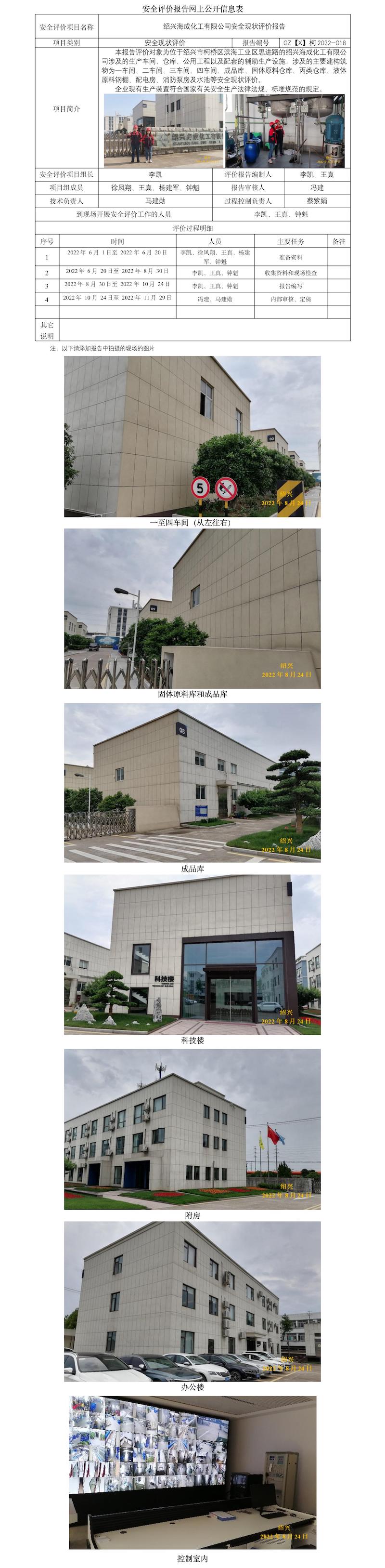 GZ【X】柯2022-018绍兴海成化工有限公司安全现状评价报告  网上公开信息表(1).jpg