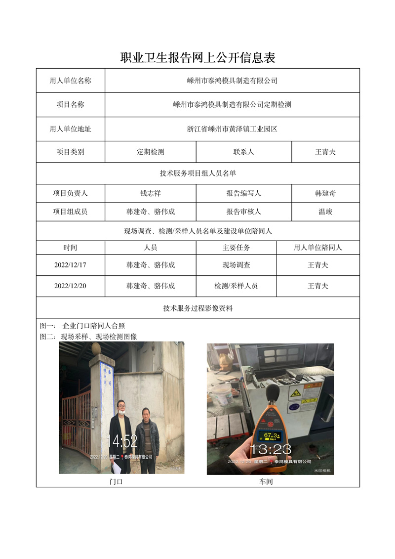 2023.02.01嵊州市泰鸿模具制造有限公司定期检测_01.jpg