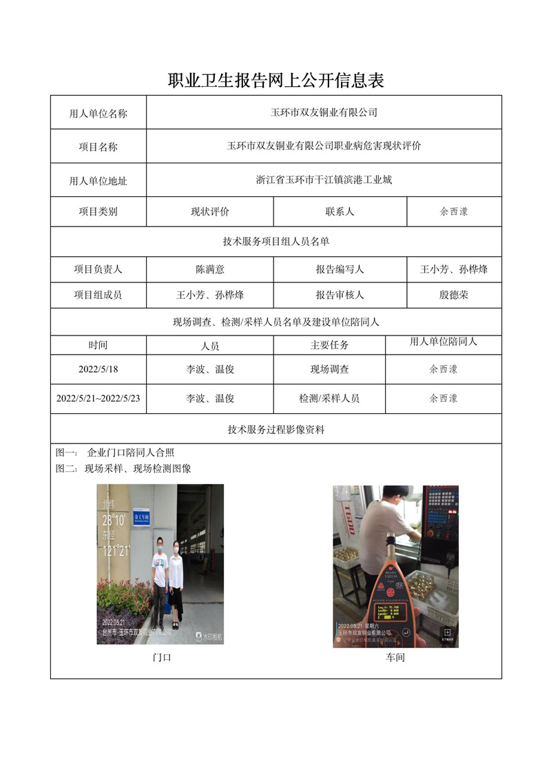 玉环市双友铜业有限公司日期11月现状评价检测_01.jpg