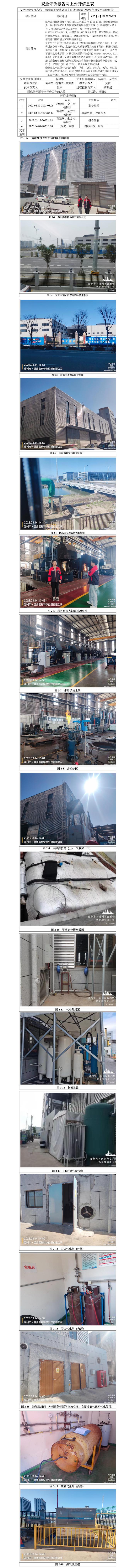 GZ【X】温2022-021温州嘉利特热处理有限公司危险化学品使用安全现状评价网上公开信息表.jpg