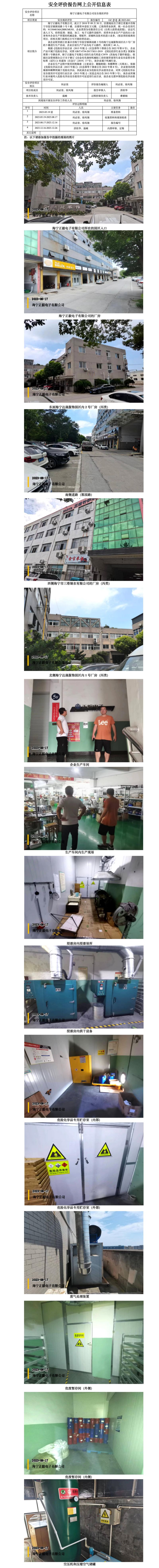 GZ【X】嘉2023-041海宁正毅电子有限公司安全现状评价网上信息公开表_01.jpg