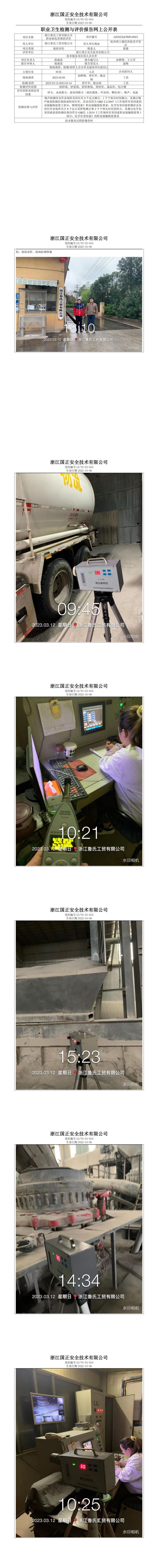 2023.05.28浙江鲁氏工贸有限公司职业病危害现状评价报告网上公开信息表_00.jpg